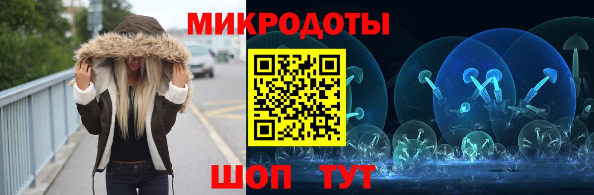 Каменка  хочу наркоту  Вход с VPN  Псилоцибиновые грибы Psilocybine cubensis 