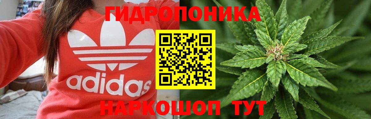 Каннабис SATIVA & INDICA Каменка